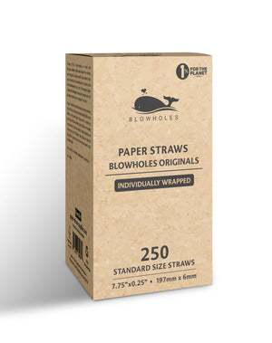 Standard White Paper Straws - Boxed View