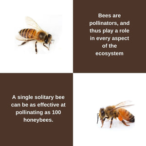 Bee Nesting Tubes (Case of 5,760)