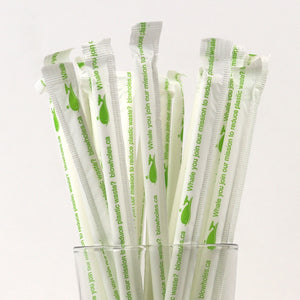 White Standard Straws, Wrapped - 7.75" (Box of 250)