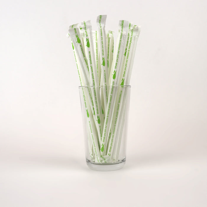 White Standard Straws, Wrapped - 7.75" (Case of 6,000)
